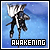 fire emblem awakening